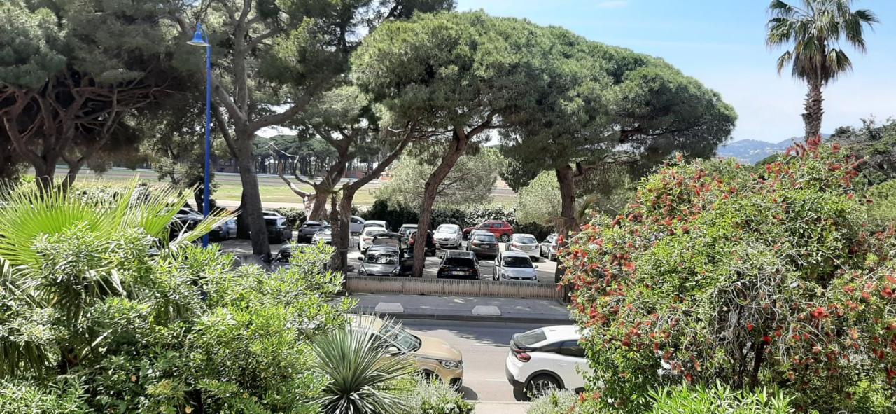Les Iles D'Or Au Port De Hyeres Grand Studio Climatise Luaran gambar